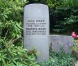 Bad Langensalza Japanischer Garten Schön File Göttingen Stadtfriedhof Grab Max Born Jpg Wikimedia