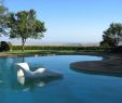 Bahia Schwimmbad Luxus Donnell Garden Br by Charles Birnbaum 2007 the