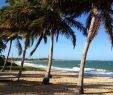 Bahia Schwimmbad Schön Pousada Jambo Prices & Guest House Reviews Brazil Bahia