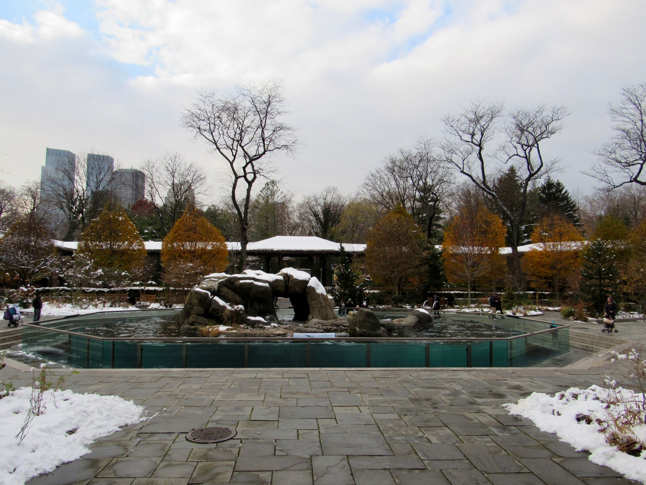 the central park zoo