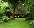 Baumstamm Verschönern Luxus Moderne Gartengestaltung Mit Pflanzen