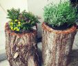 Baumstumpf Deko Ideen Frisch Garten Mit Alten Sachen Dekorieren