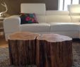 Baumstumpf Deko Ideen Inspirierend Stump Coffee Tables Serenitystumps Tree Trunk Tables