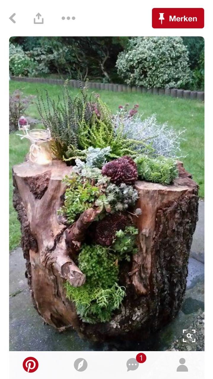 Baumstumpf Deko Inspirierend Pin Von Imw Auf Gartendeko Floral