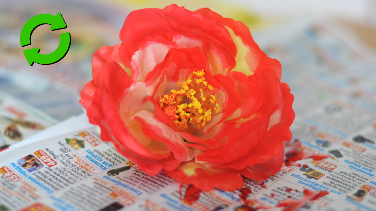 Baumstumpf Garten Dekorieren Inspirierend Blumen Färben – Wikihow
