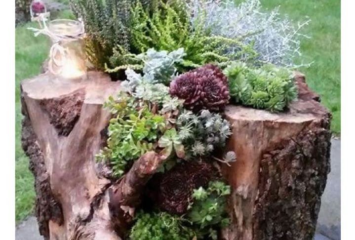 Baumstumpf Garten Dekorieren Inspirierend Pin Von Imw Auf Gartendeko Floral