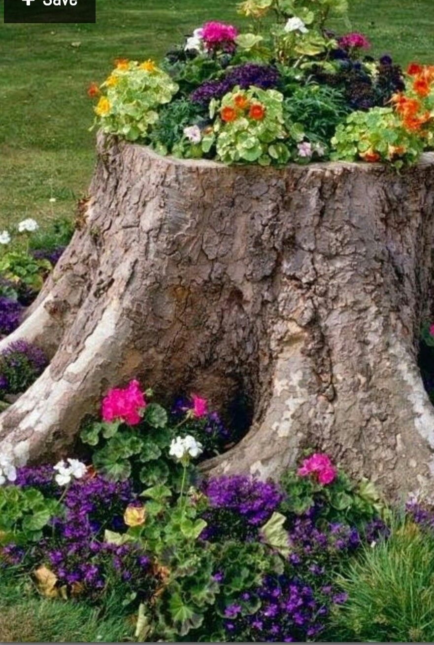 Baumstumpf Garten Dekorieren Inspirierend Pin Von Mediha Tadzic Auf Gartenideen