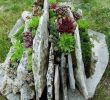 Baumstumpf Garten Dekorieren Neu Stunning Rock Garden Landscaping Design Ideas 75
