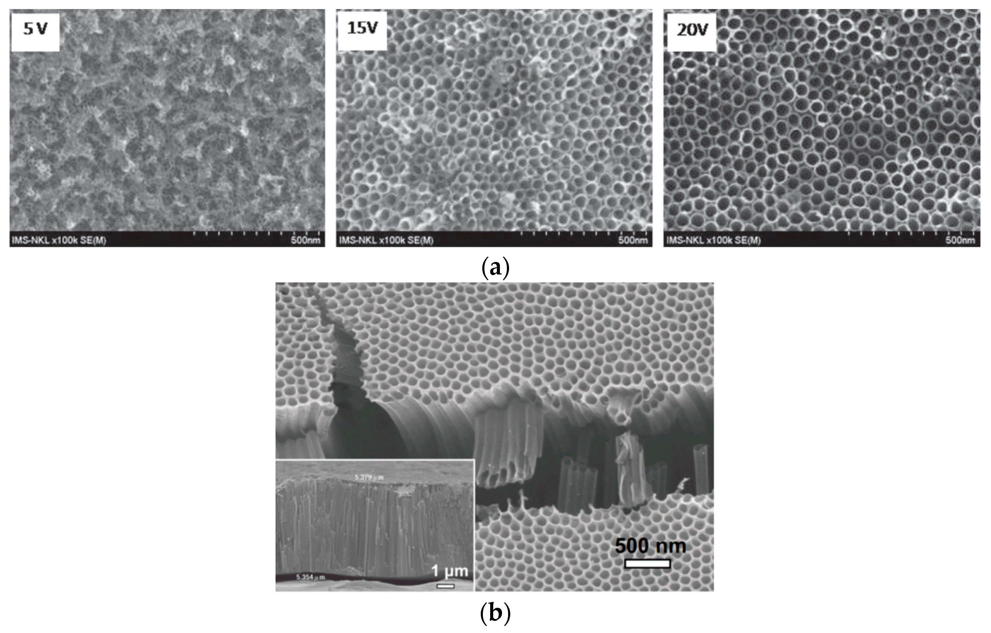 nanomaterials 10 g013