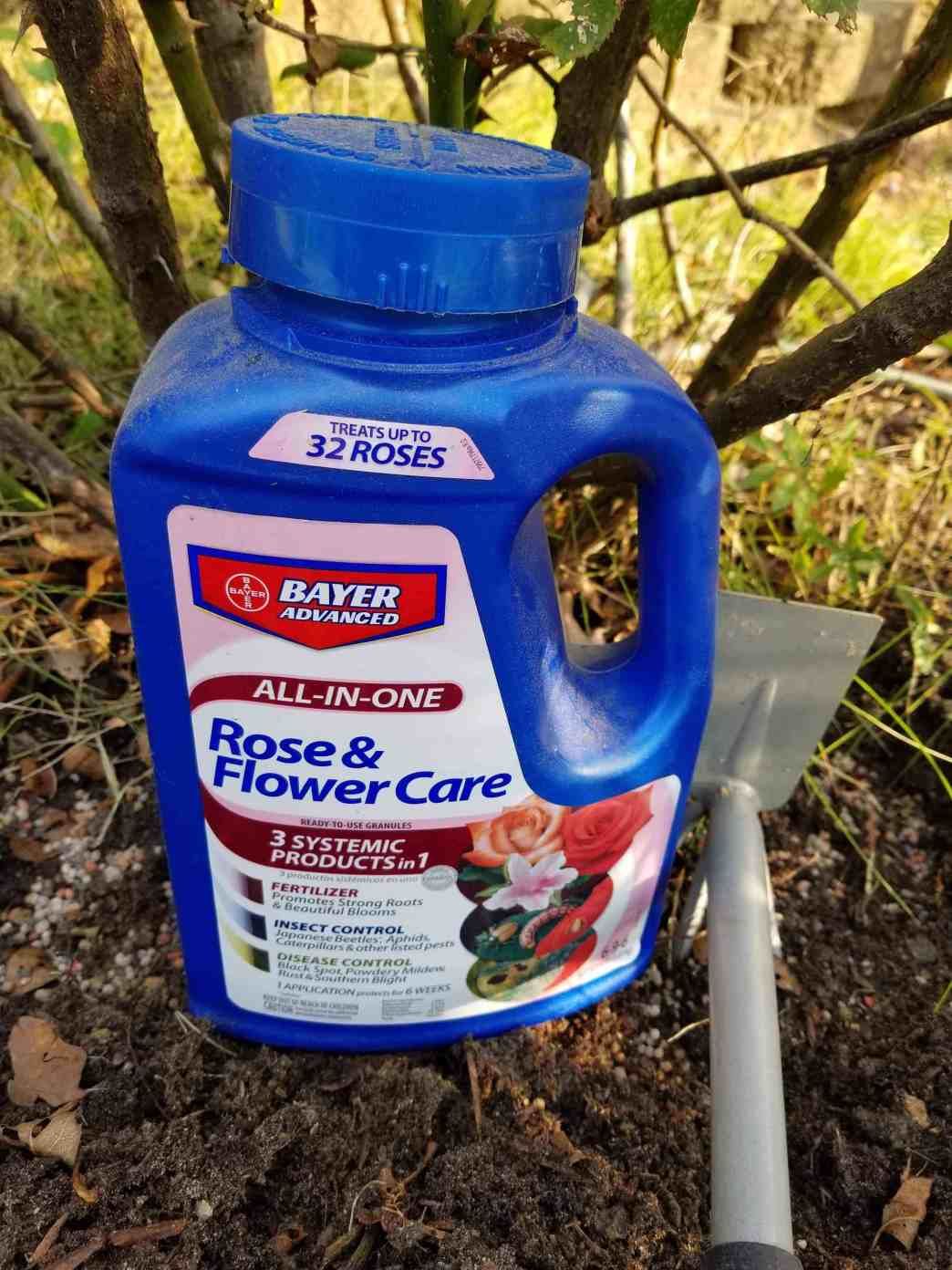Bayer Garten Frisch 3 Care Tips for Knock Out Roses