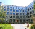 Berlin Britzer Garten Inspirierend Our First Few Days In Berlin High School Summer Abroad