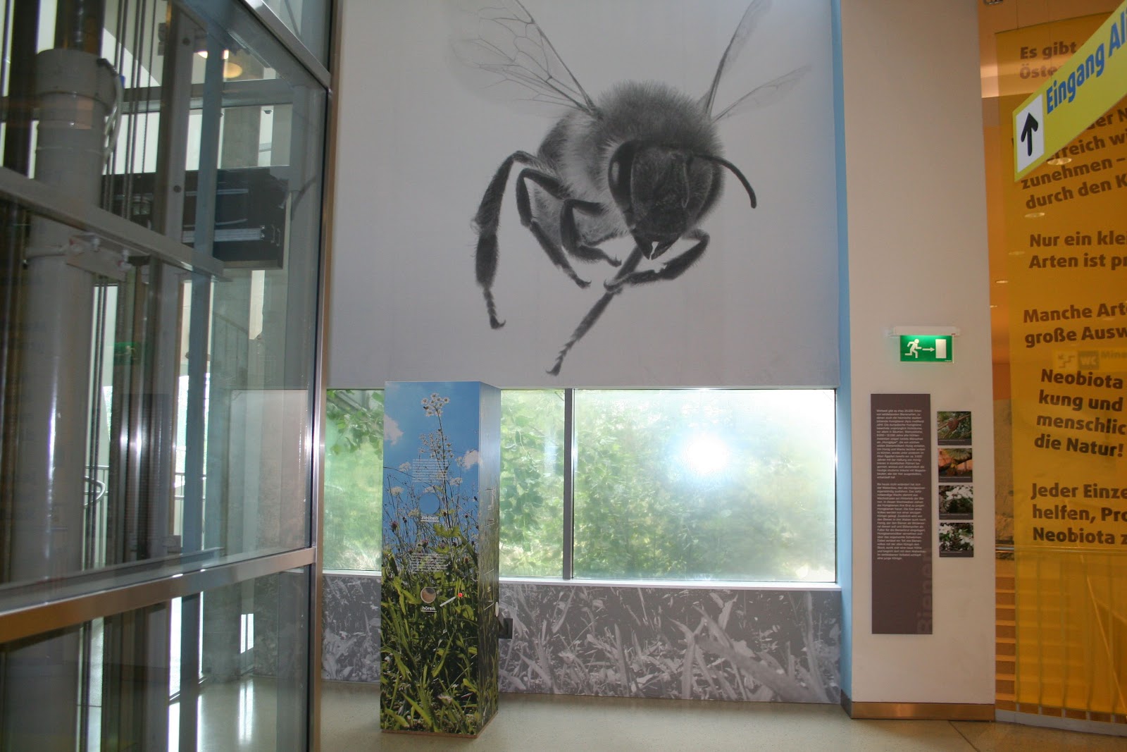 Bienen Im Garten Best Of Bienen — Museum Niederösterreich