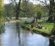 Biergarten Englischer Garten Einzigartig 71 Best Schwabing Munich Images