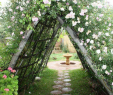 Bio Garten Genial Garden Arches by Megan Dutra On Home