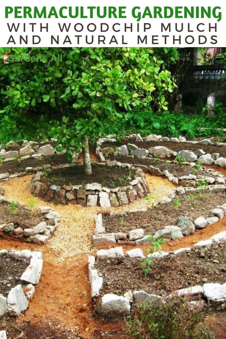 Bio Garten Inspirierend Permaculture Gardening with Woodchip Mulch and Natural