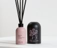 Bonsai Garten Traunreut Einzigartig Luxury Bath Body & Hair Care