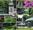 Botanische Garten München Inspirierend Jevremovac Botanical Garden Belgrade 2020 All You Need