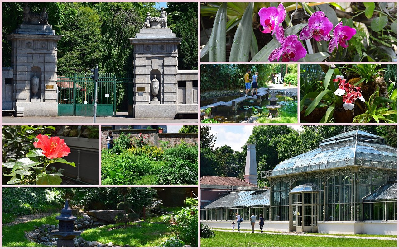 Botanische Garten München Inspirierend Jevremovac Botanical Garden Belgrade 2020 All You Need
