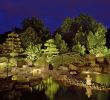 Botanischer Garten Augsburg Programm Einzigartig Lange Nacht Der Natur Im Botanischen Garten – Nanu