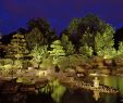 Botanischer Garten Augsburg Programm Einzigartig Lange Nacht Der Natur Im Botanischen Garten – Nanu