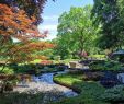 Botanischer Garten Augsburg Programm Elegant Natur Pur Im Botanischen Garten – Bayerisch Schwaben Blog