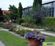Botanischer Garten Augsburg Programm Genial Der Botanischer Garten Augsburg ist Als Oase Der Ruhe