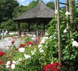 Botanischer Garten Augsburg Programm Luxus Datei Augsburg Bot Garten Am Rosenpavillon –