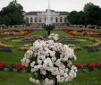 Botanischer Garten Frankfurt Am Main Luxus Best Free Things to Do In Cologne Germany