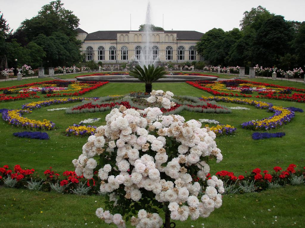 Botanischer Garten Frankfurt Am Main Luxus Best Free Things to Do In Cologne Germany