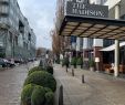 Botanischer Garten Hamburg Best Of the Madison Hotel Hamburg Updated 2020 Prices Reviews