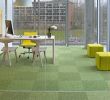 Botanischer Garten Hamburg Luxus Mercial Carpet Tile & Resilient Flooring