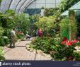 Botanischer Garten Jena Frisch T3 Plants Stock S & T3 Plants Stock Alamy