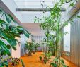 Botanischer Garten Karlsruhe Frisch 705 Best 08 60 Skylight Images In 2020