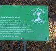 Botanischer Garten Karlsruhe Schön Alter Botanischer Garten Tubingen 2020 All You Need to