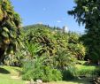Botanischer Garten Meran Neu Arboretum Of Arco 2020 All You Need to Know before You Go