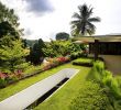 Botanischer Garten Münster Elegant 54 Best Singapore Landscape Design Images