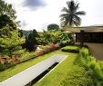 Botanischer Garten Münster Elegant 54 Best Singapore Landscape Design Images