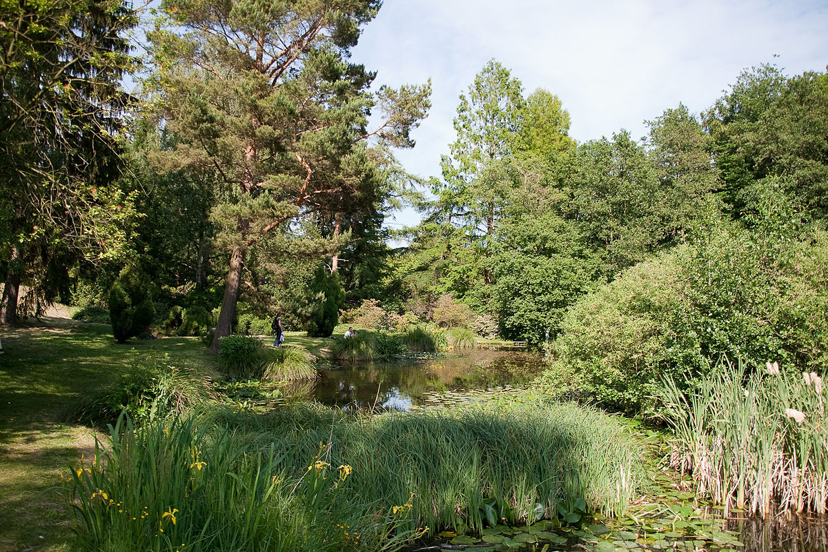 1200px Botanischer Garten Rostock Teich