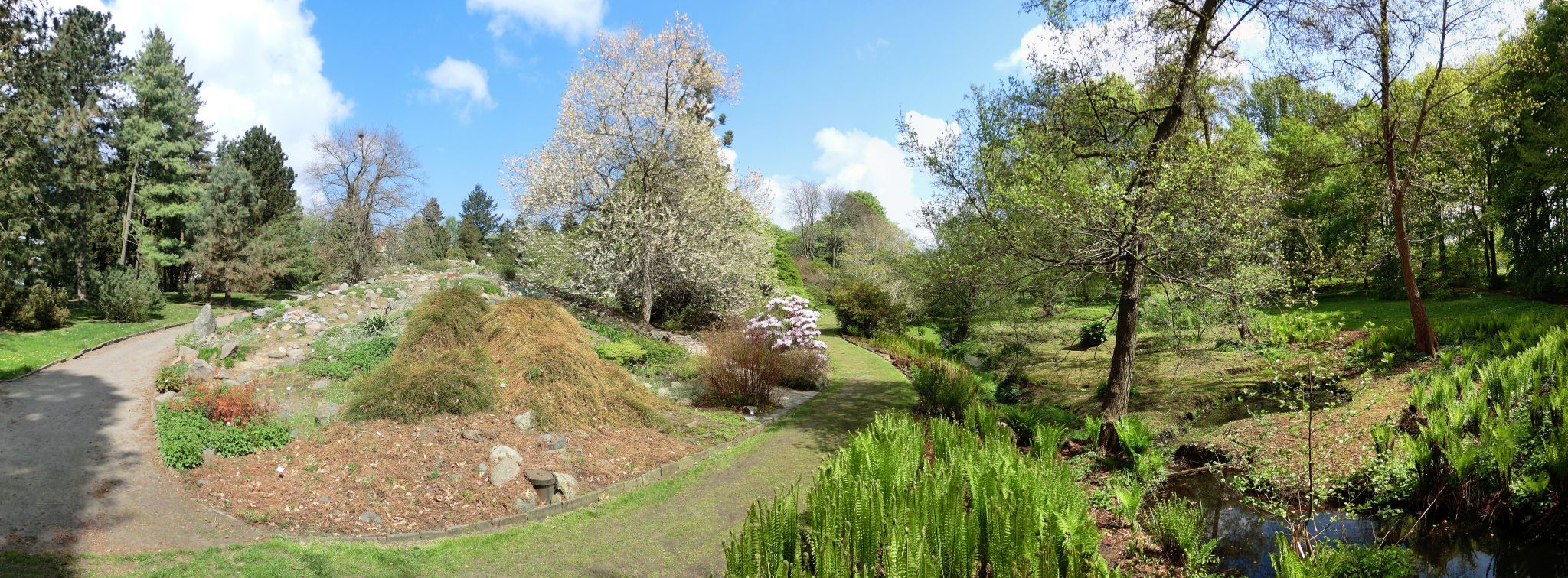 40 Neu Botanischer Garten Rostock Garten Deko