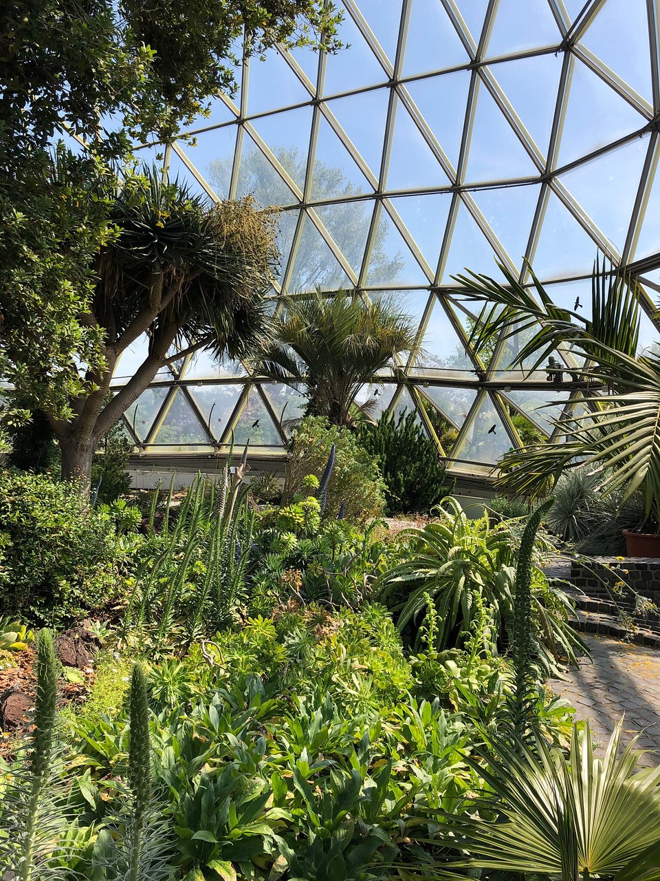 Botanischer Garten solingen Inspirierend Botanical Garden Dusseldorf 2020 All You Need to Know