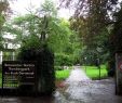 Botanischer Garten solingen Schön Botanical Garden Rombergpark – Dortmund – tourist