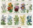 Botanischer Garten Zürich Schön 79 Best Vintage Print Images In 2020