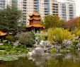 China Garten Best Of Chinese Garden Of Friendship