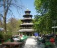 China Garten Best Of Chinesischer Turm attractions Zoeç· Munich Travel Review