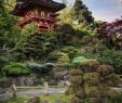 China Garten Best Of Japanese Tea Garden by Frank Kehren On 500px