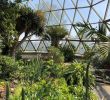 China Garten Genial Botanical Garden Dusseldorf 2020 All You Need to Know