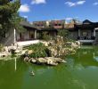 China Garten Luxus Chinese Garden Of Serenity Santa Lucija 2020 All You