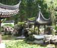 China Garten Neu Botanischer Garten Bochum 2020 All You Need to Know