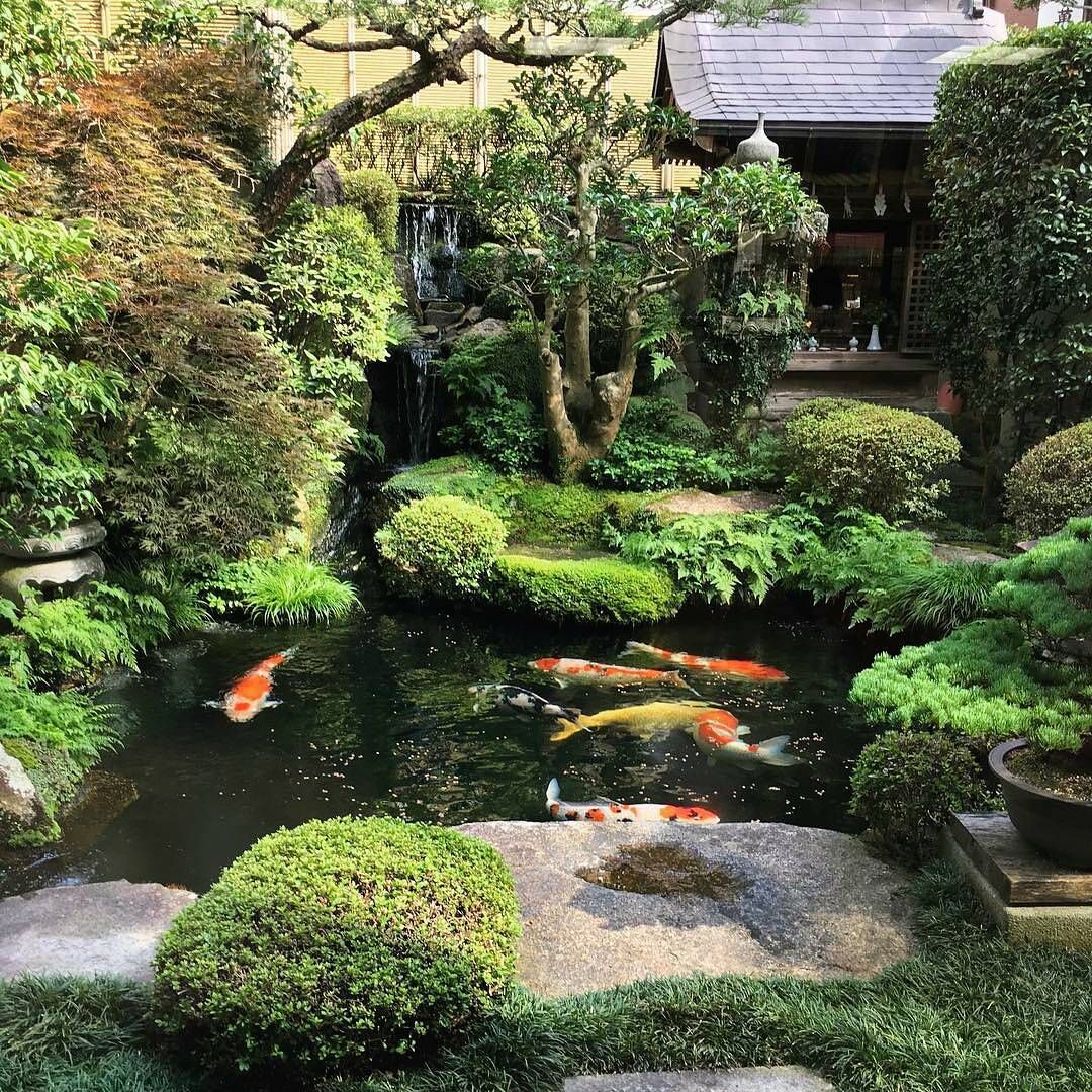 China Garten Schön How Beautiful is This Small Japanese Garden ð¯ In the Past