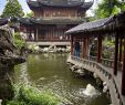 China Garten Schön the World Through My Lens by Aha In 2020